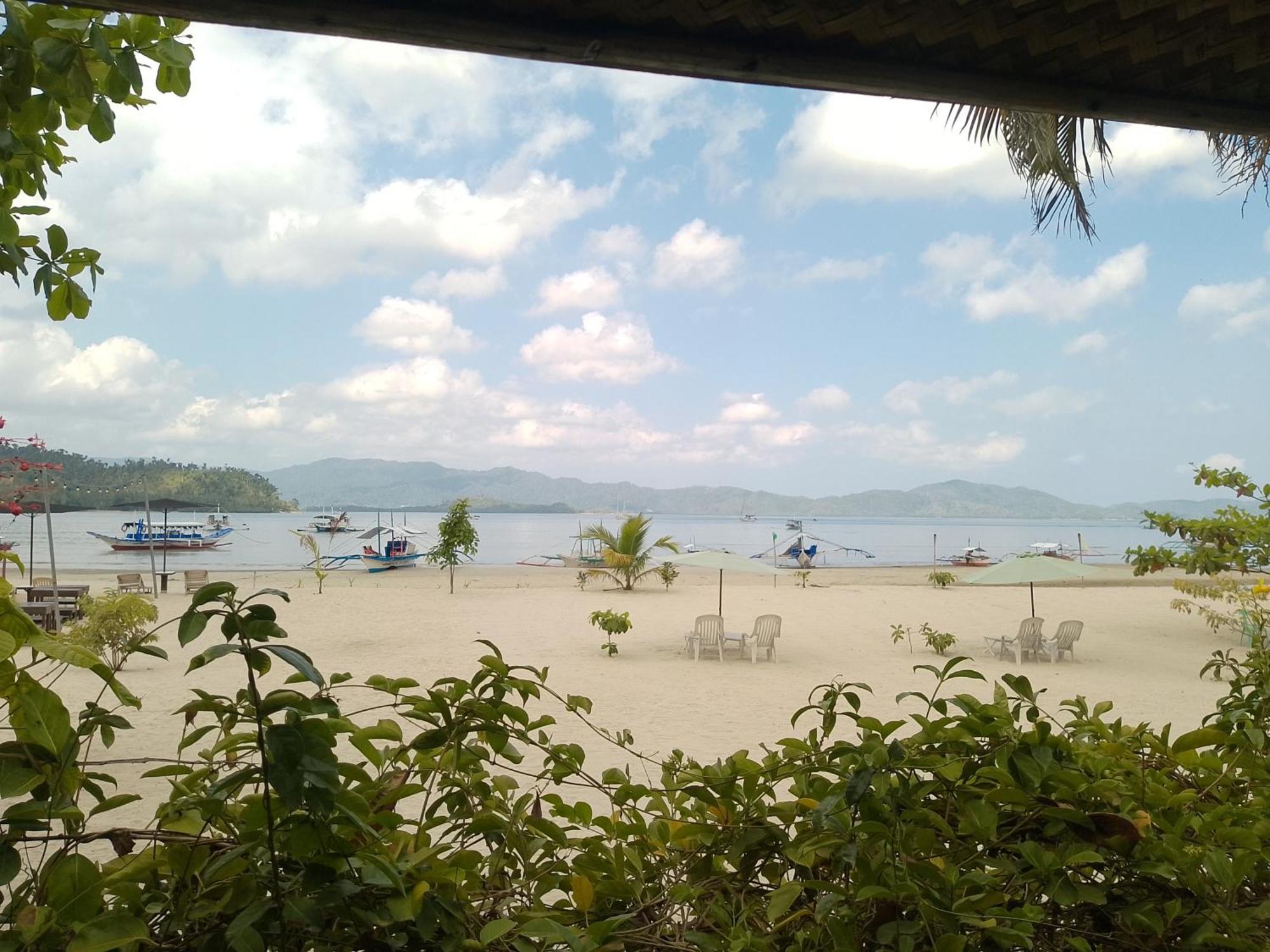 Greenviews Resort & Restaurant Port Barton San Vicente  Ngoại thất bức ảnh