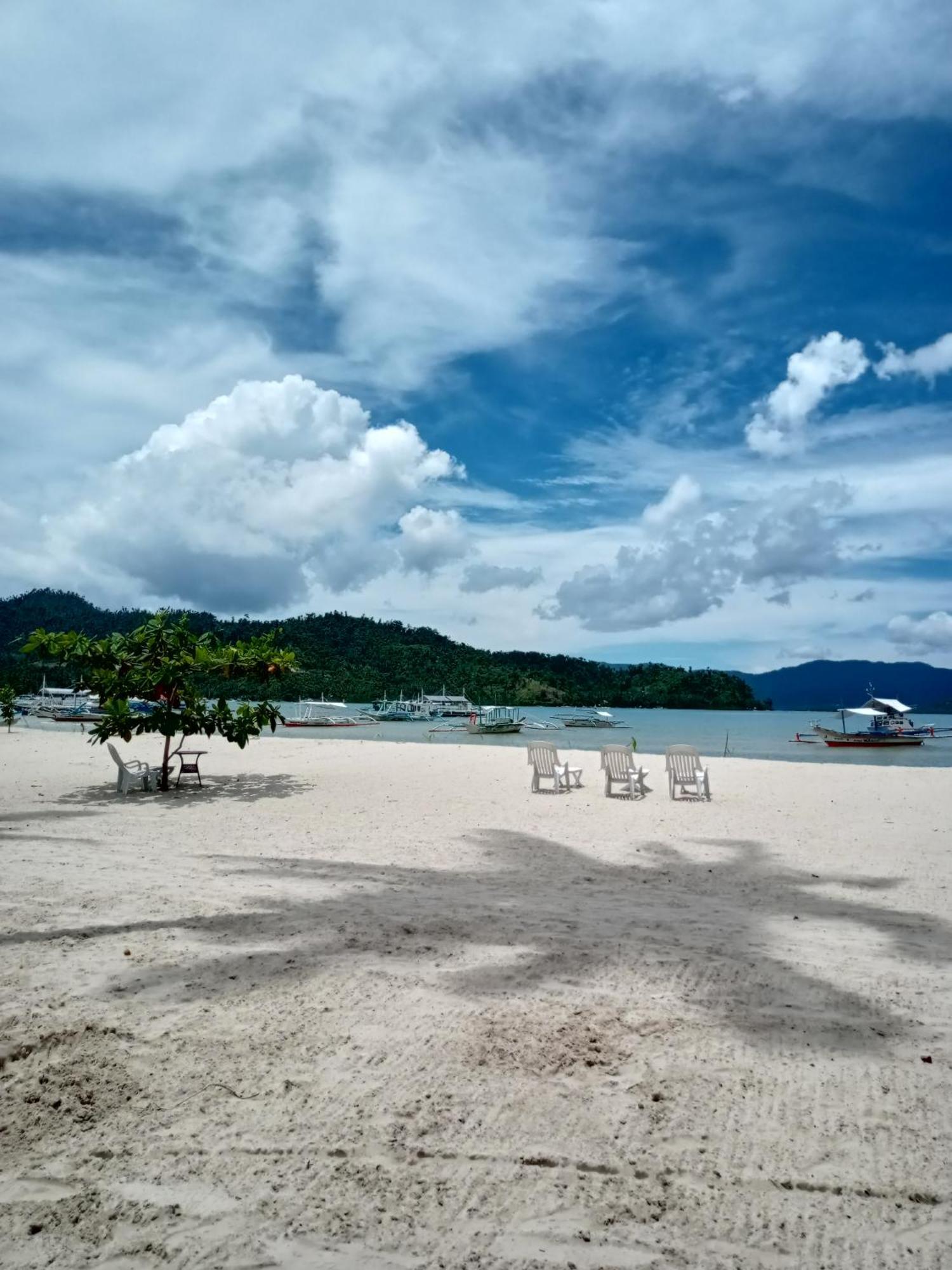 Greenviews Resort & Restaurant Port Barton San Vicente  Ngoại thất bức ảnh